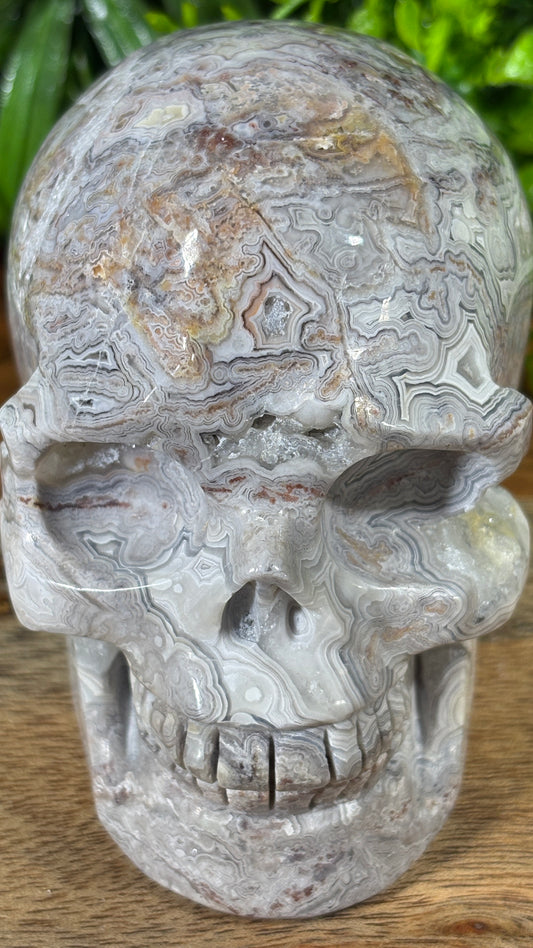White Mexican Lace Agate Skull -  Balance • Clarity • Grounding