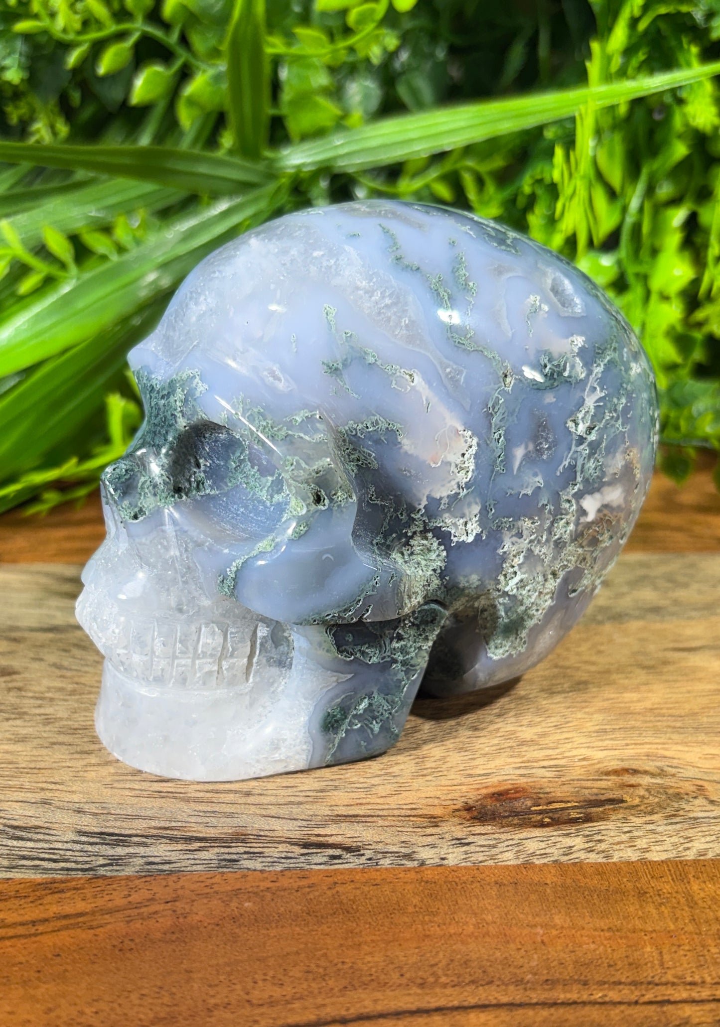 Moss Agate Skull -  Grounding • Growth • Abundance
