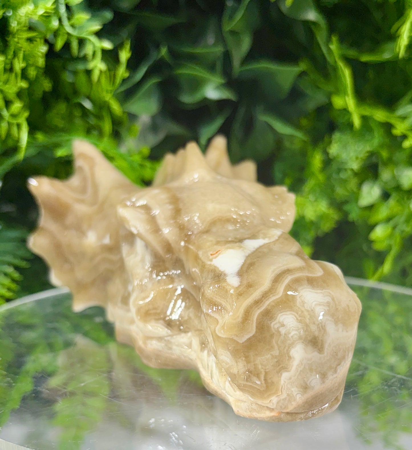 Sir Taupsalot – Natural Banded Calcite Dragon Carving -Ancient Wisdom • Grounded Confidence • Steady Strength