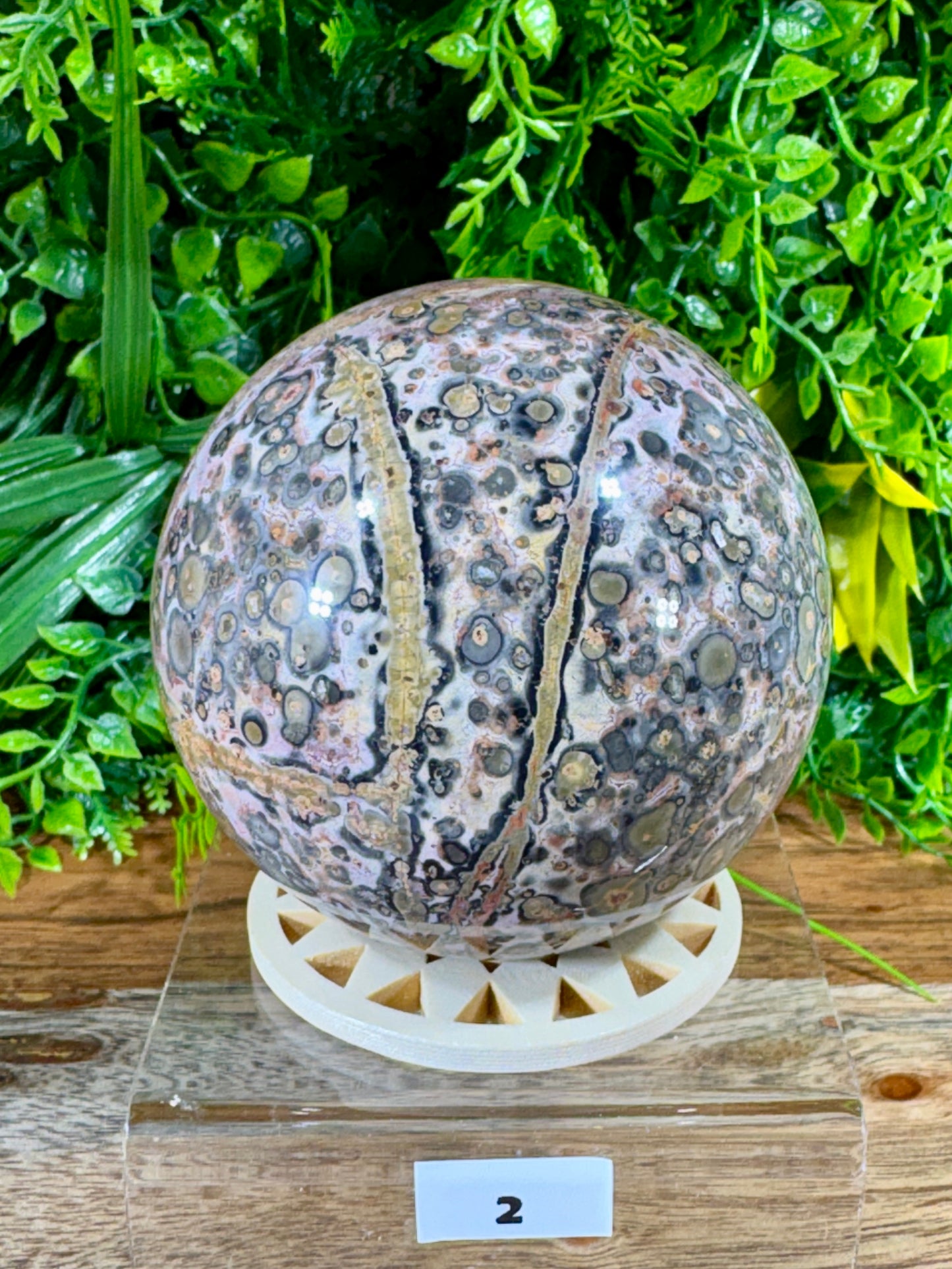 Leopard Skin Jasper Spheres Confidence • Grounding • Adventure