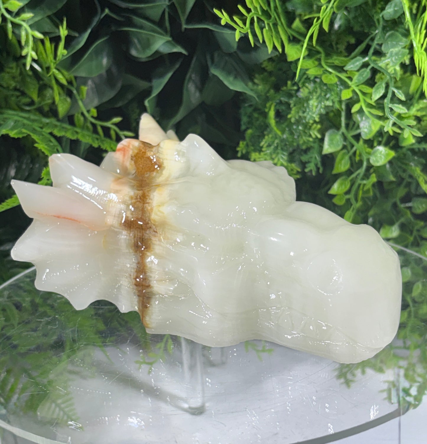 Ivory Onyx Dragon Head - Natural Banded Calcite - Calm • Grounding • Inner Wisdom