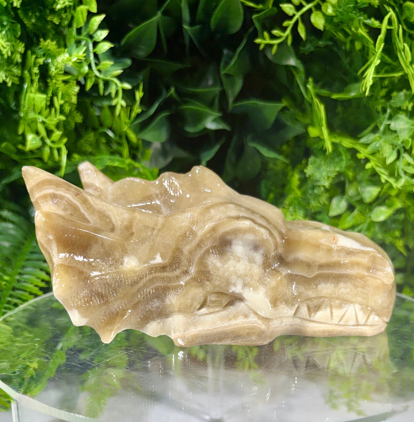 Sir Taupsalot – Natural Banded Calcite Dragon Carving -Ancient Wisdom • Grounded Confidence • Steady Strength