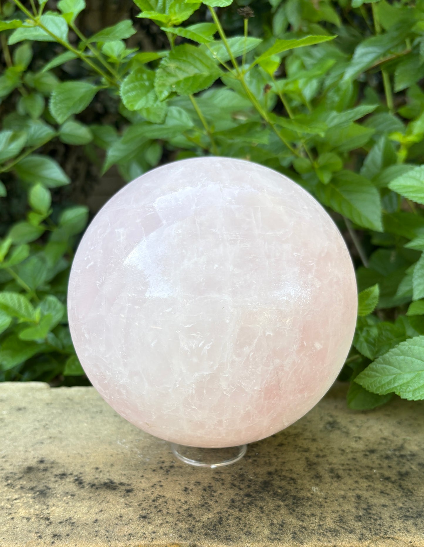 Large Rose Quartz Sphere 10.27 lbs. Love & Compassion