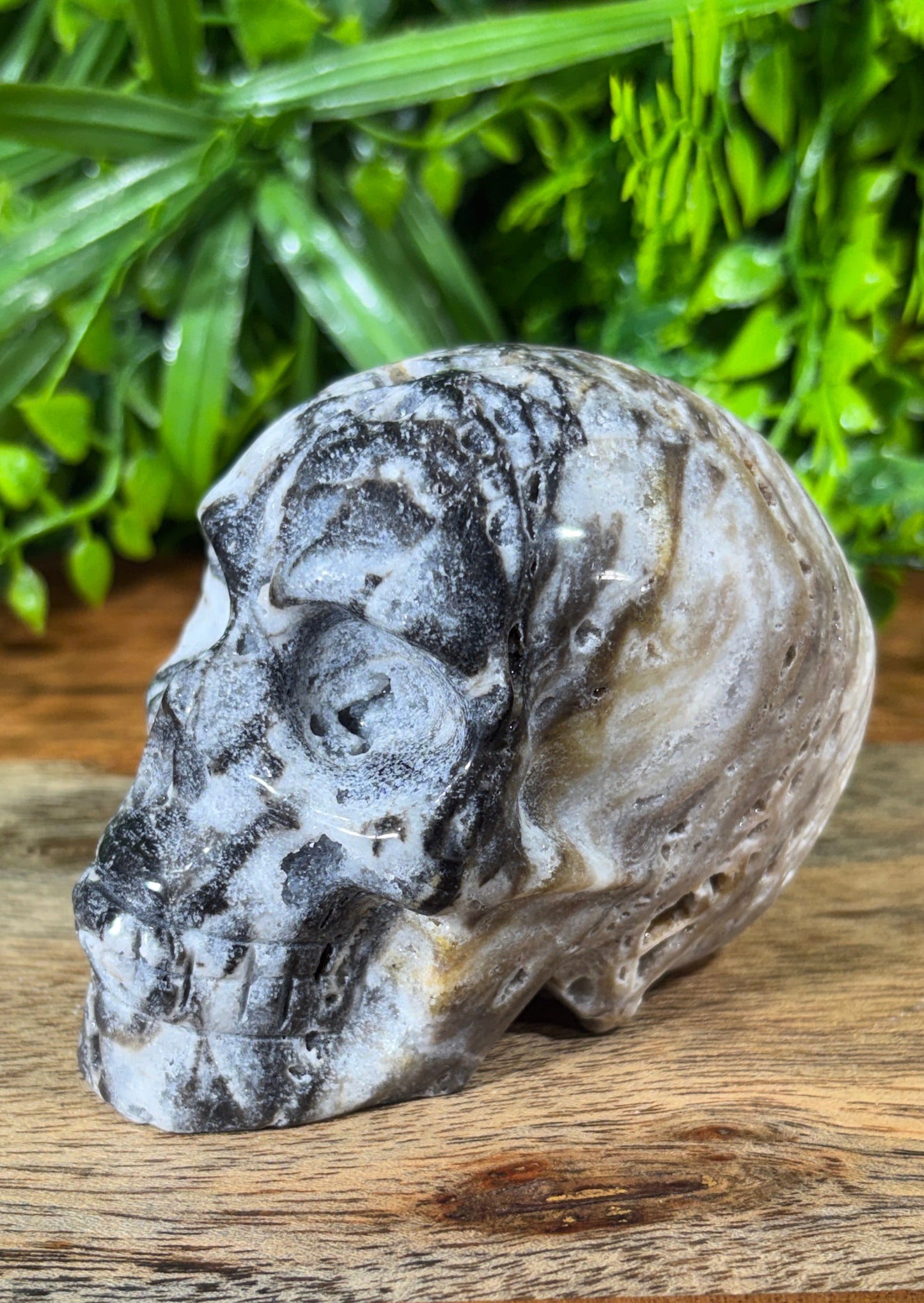 Sphalerite Skull with Druzy Caverns -  Grounding • Confidence • Transformation