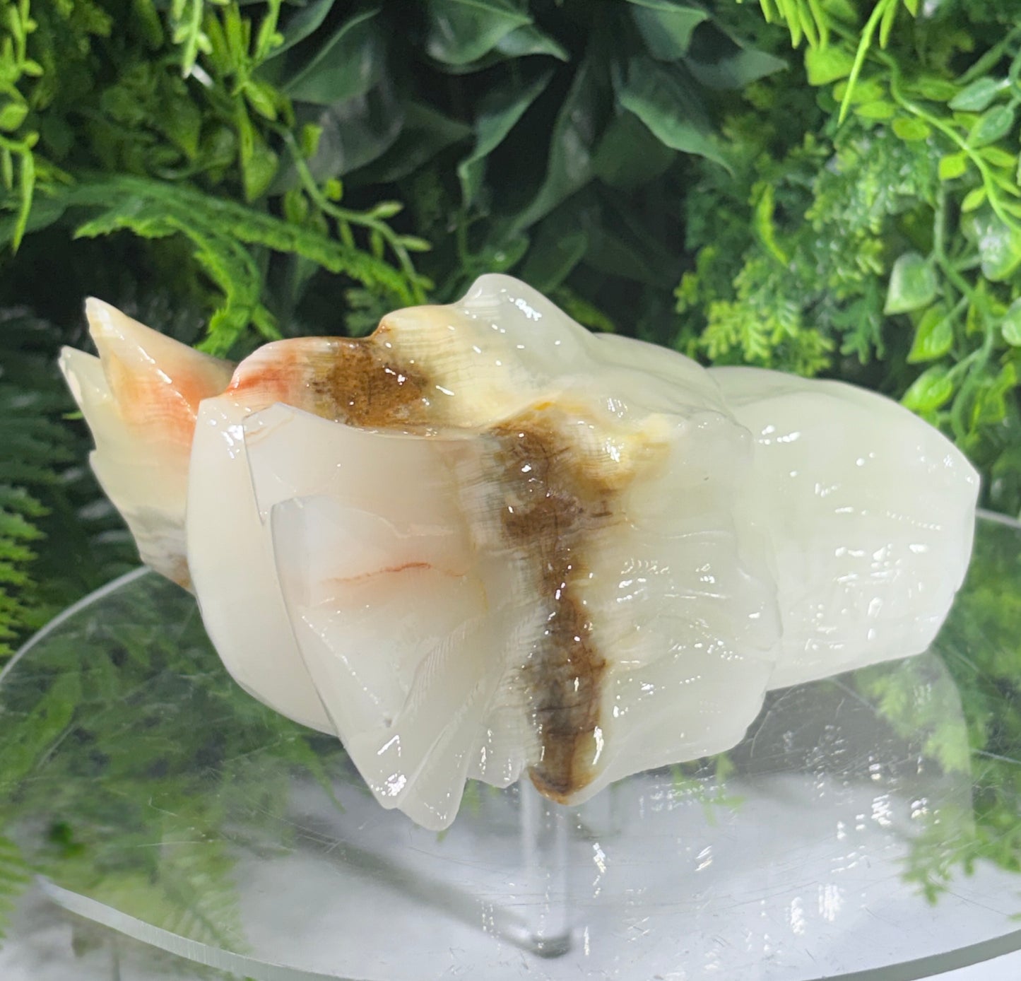 Ivory Onyx Dragon Head - Natural Banded Calcite - Calm • Grounding • Inner Wisdom