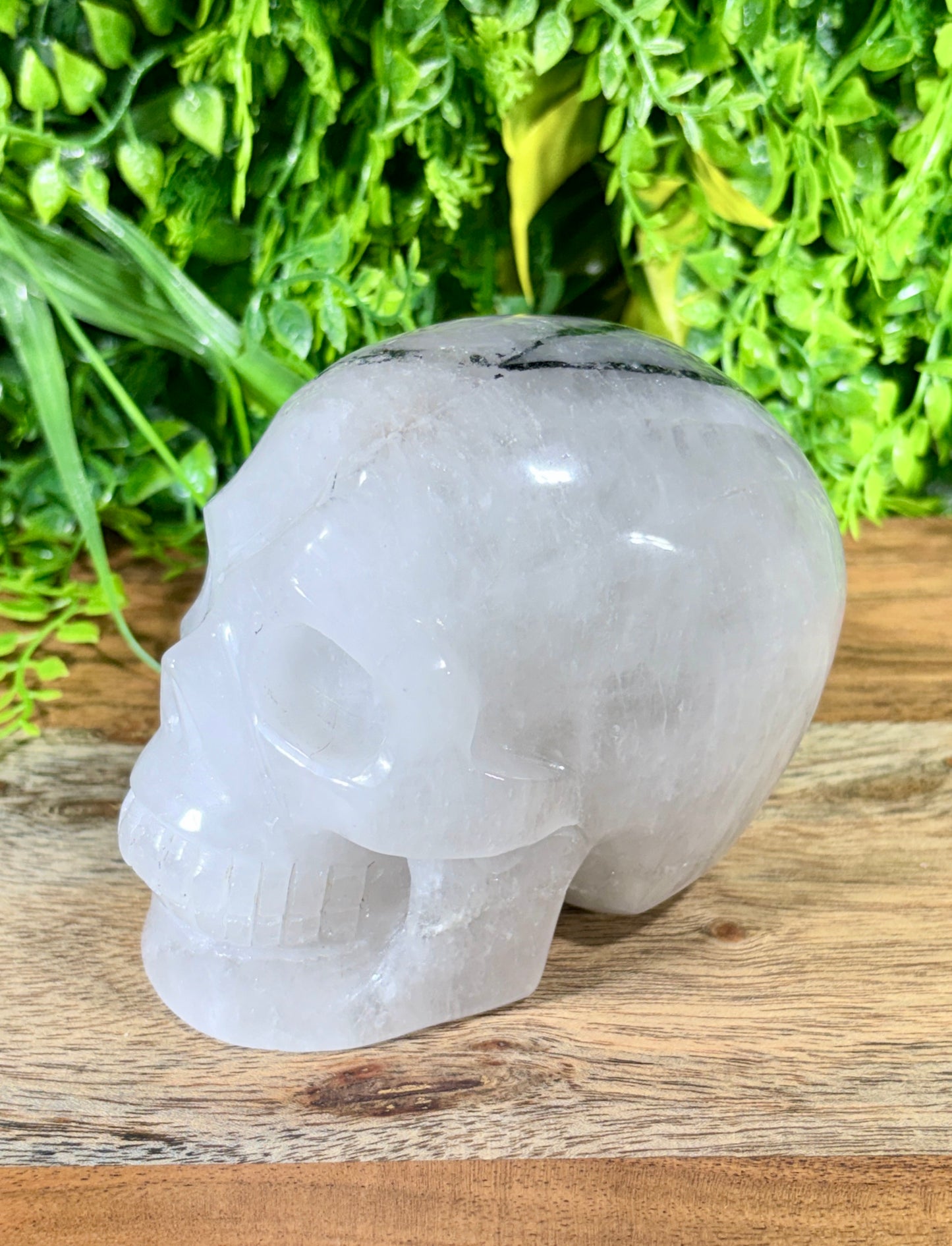 4.5" Tourmalinated Quartz Skull Protection • Clarity • Grounding - 2.20 lbs.