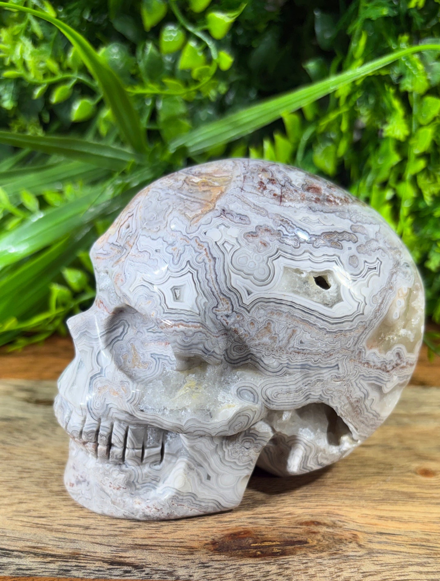 White Mexican Lace Agate Skull -  Balance • Clarity • Grounding