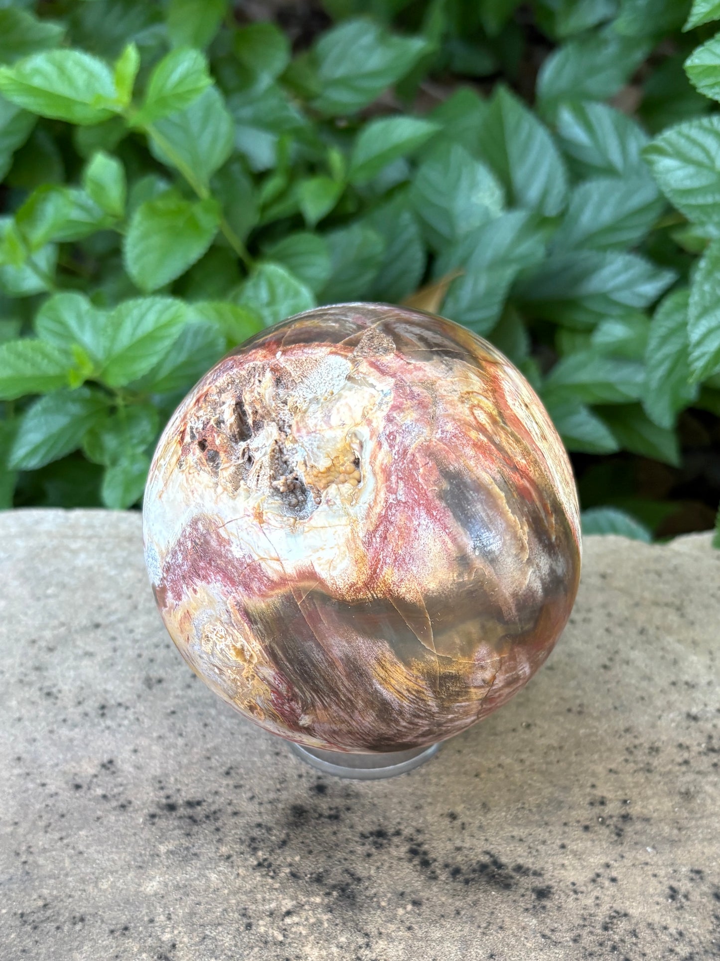 Petrified Wood Sphere with Open Cavern - Grounding • Ancient Wisdom • Transformation