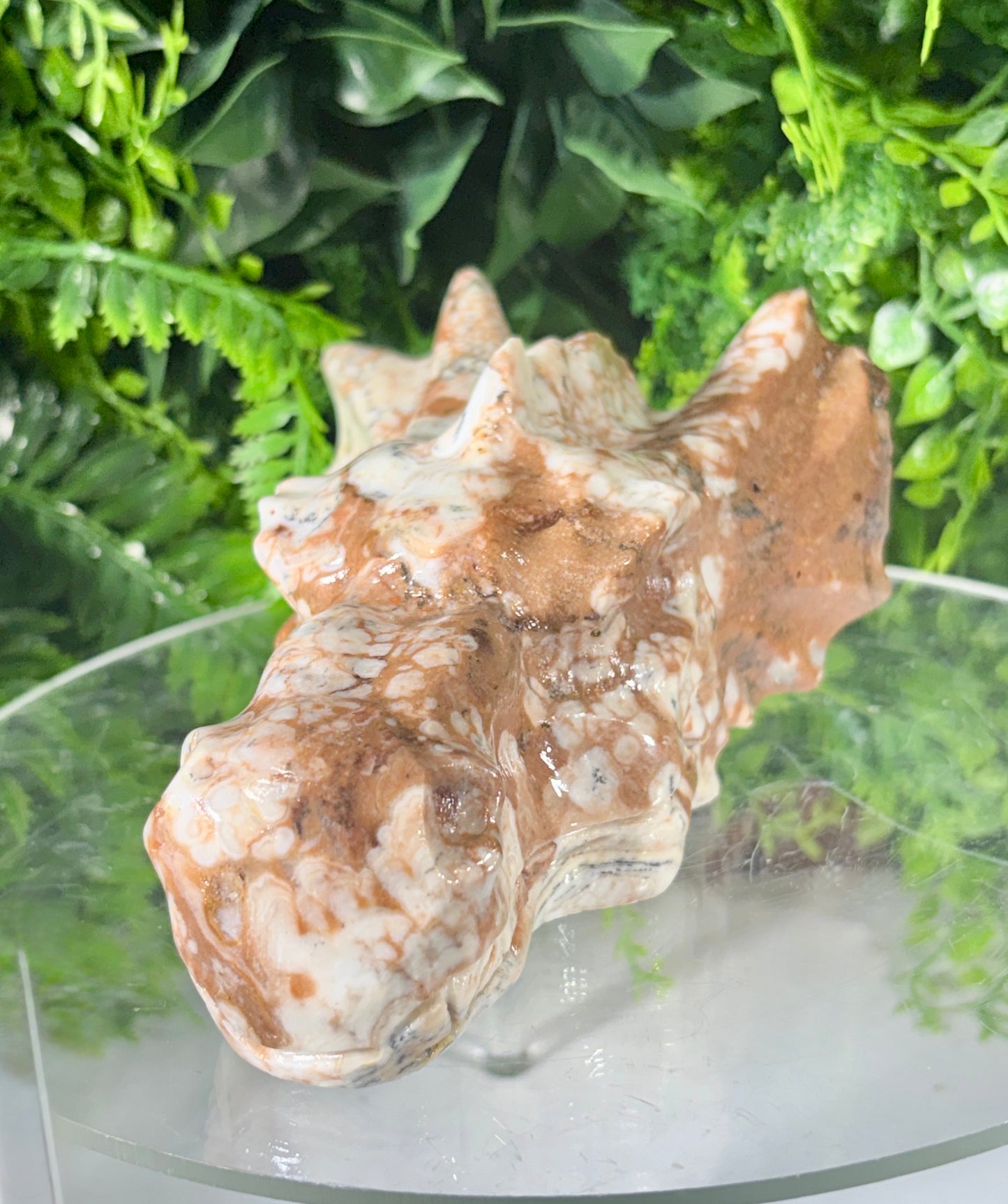 Amber Calcite Dragon Head Carving - Confidence • Joy • Empowered Energy