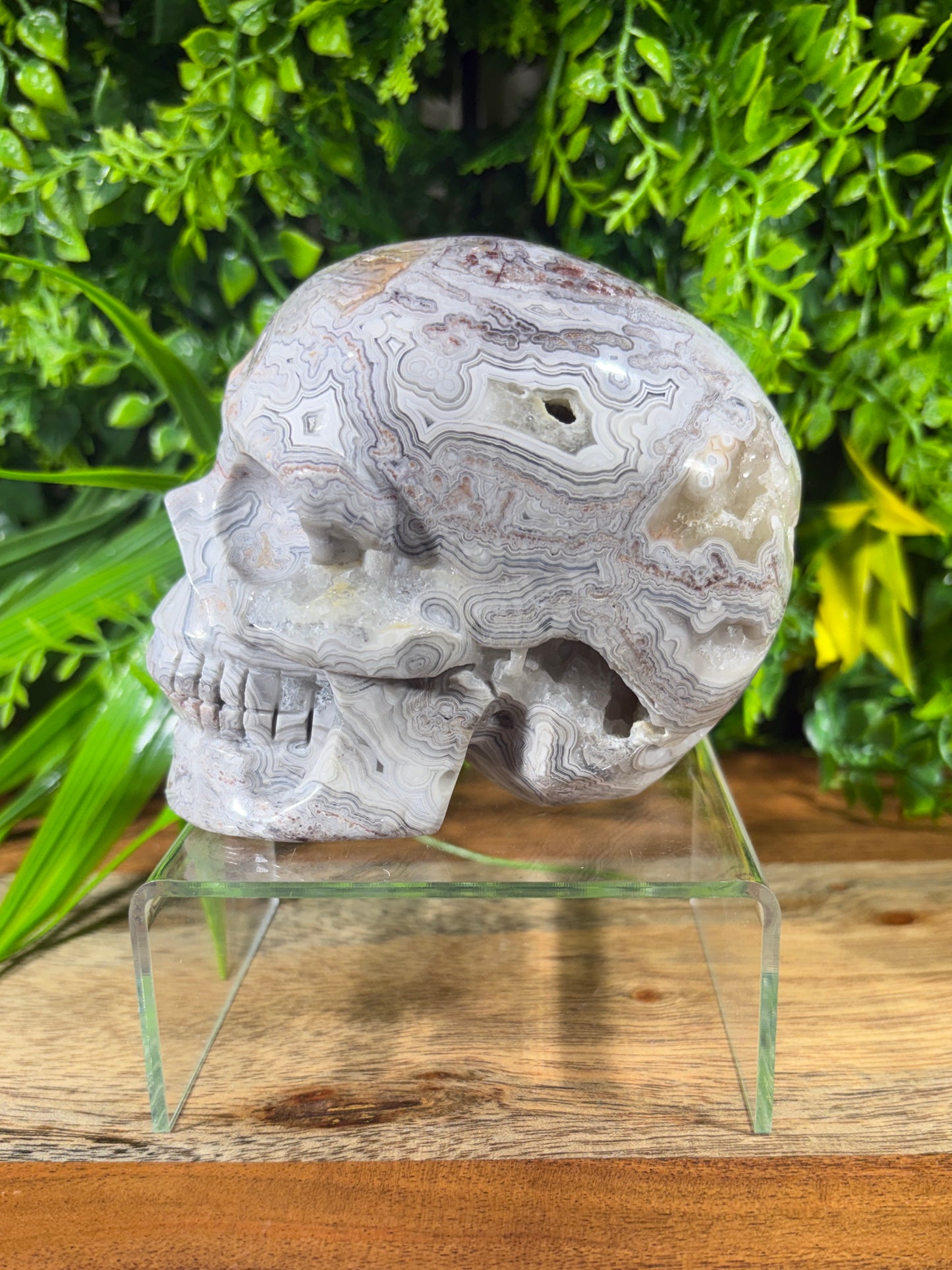White Mexican Lace Agate Skull -  Balance • Clarity • Grounding