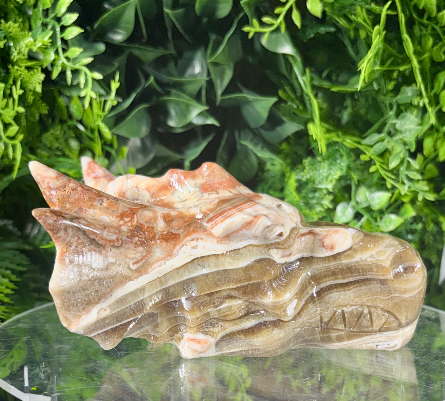 Amber Calcite Banded Dragon Head Carving - Confidence • Clarity • Joyful Energy