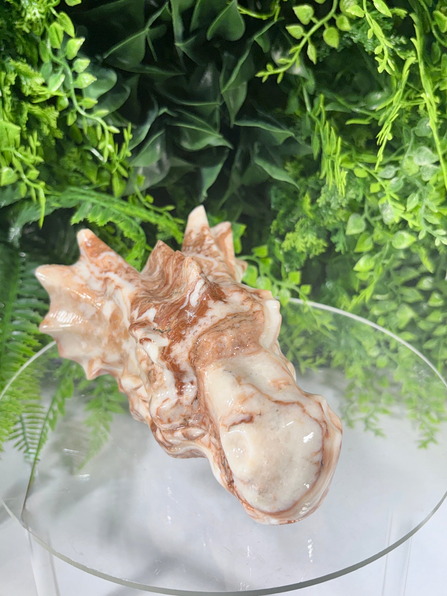 Carved Calcite Dragon Head -Confidence • Joy • Empowered Energy
