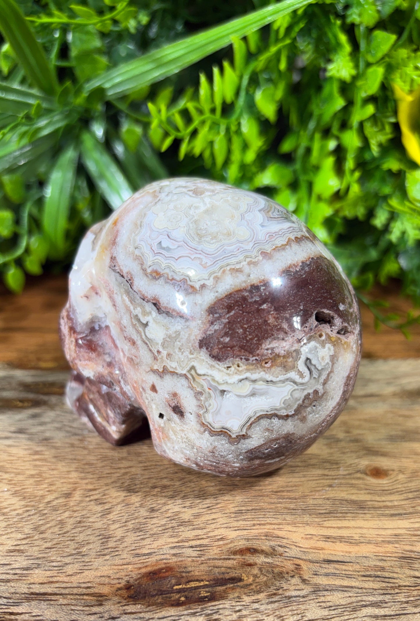White Mexican Lace Agate Skull -  Balance • Clarity • Grounding