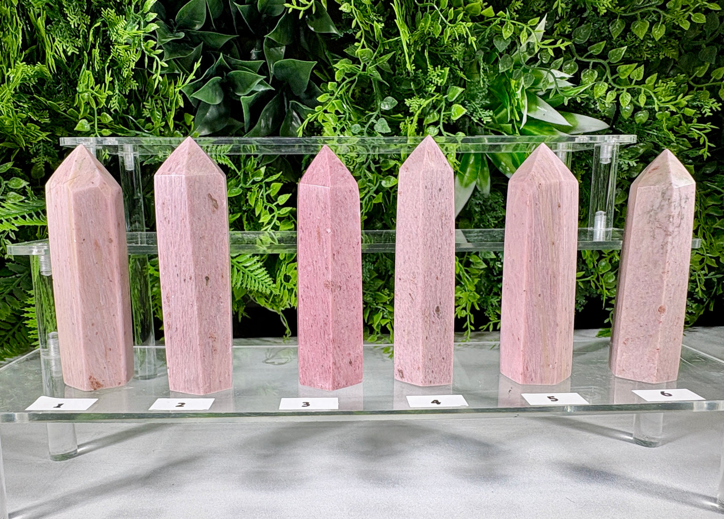 Pink Petrified Wood Points | Natural Fossil Wood Crystals- Ancient Wisdom • Gentle Growth • Steady Grounding