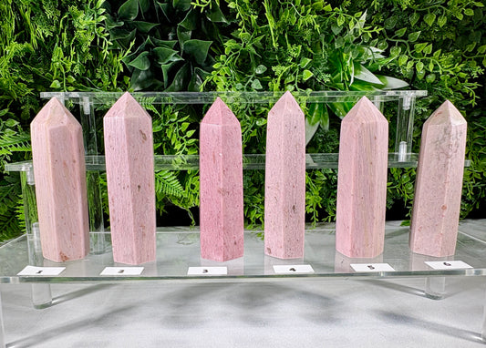 Pink Petrified Wood Points | Natural Fossil Wood Crystals- Ancient Wisdom • Gentle Growth • Steady Grounding