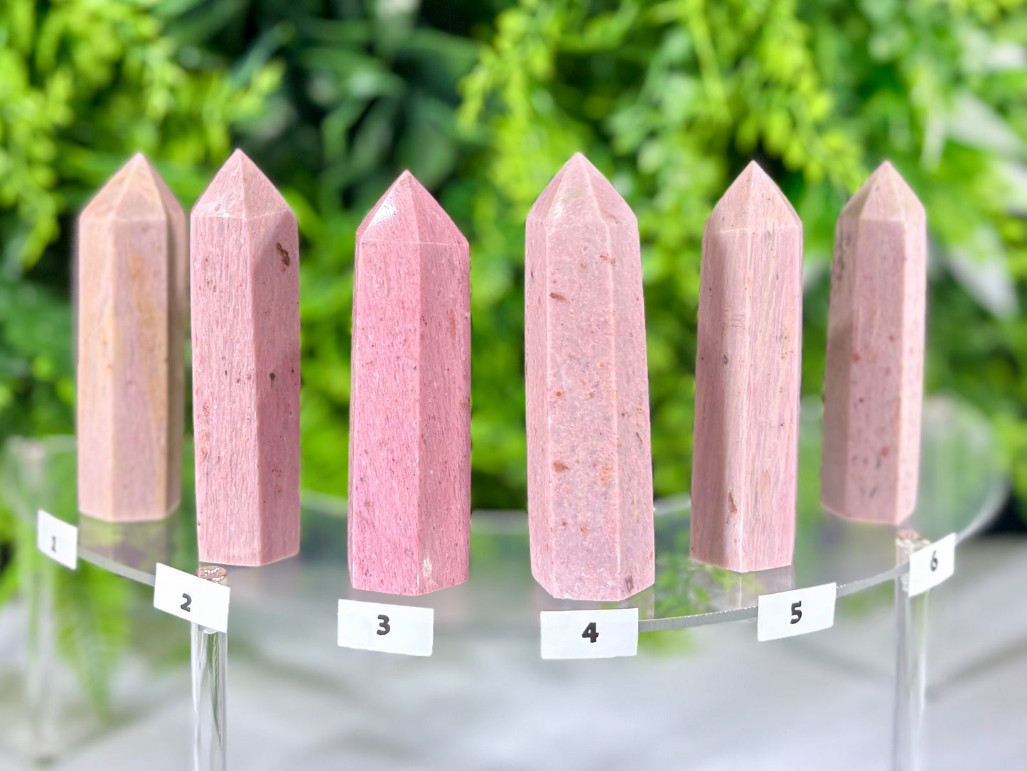 Pink Petrified Wood Points | Natural Fossil Wood Crystals- Ancient Wisdom • Gentle Growth • Steady Grounding