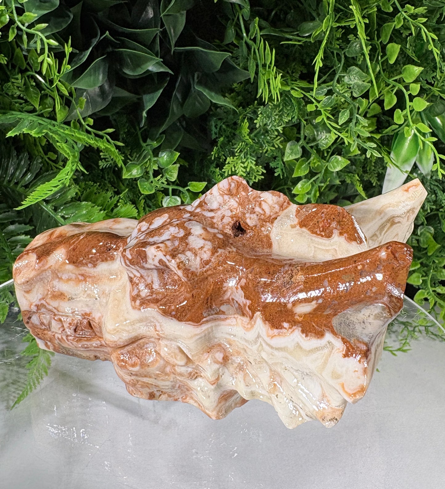 Carved Amber Calcite Dragon Head - Confidence • Joy • Empowered Energy