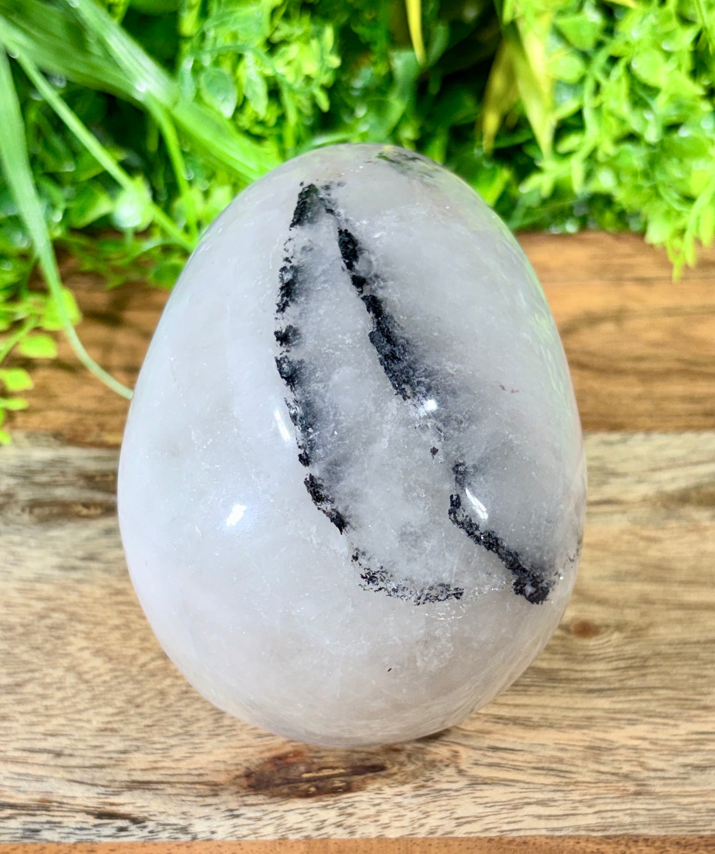 4.5" Tourmalinated Quartz Skull Protection • Clarity • Grounding - 2.20 lbs.