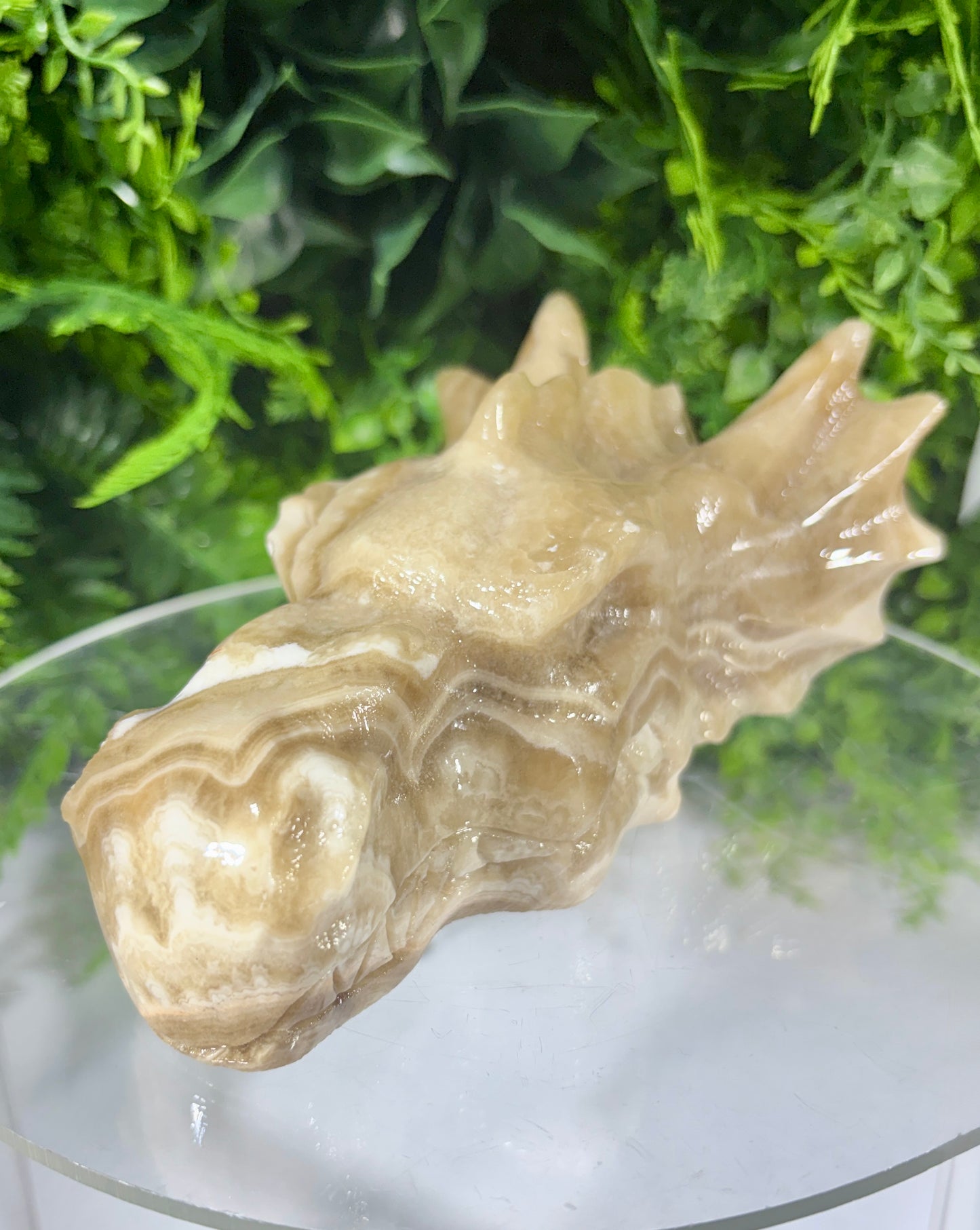 Sir Taupsalot – Natural Banded Calcite Dragon Carving -Ancient Wisdom • Grounded Confidence • Steady Strength