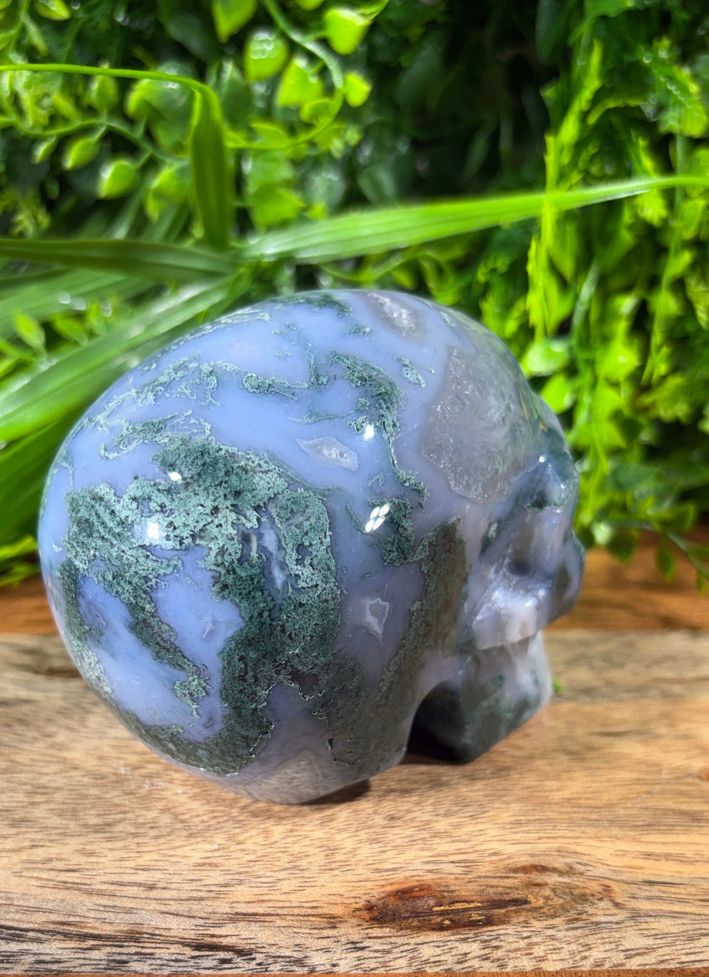 Moss Agate Skull -  Grounding • Growth • Abundance