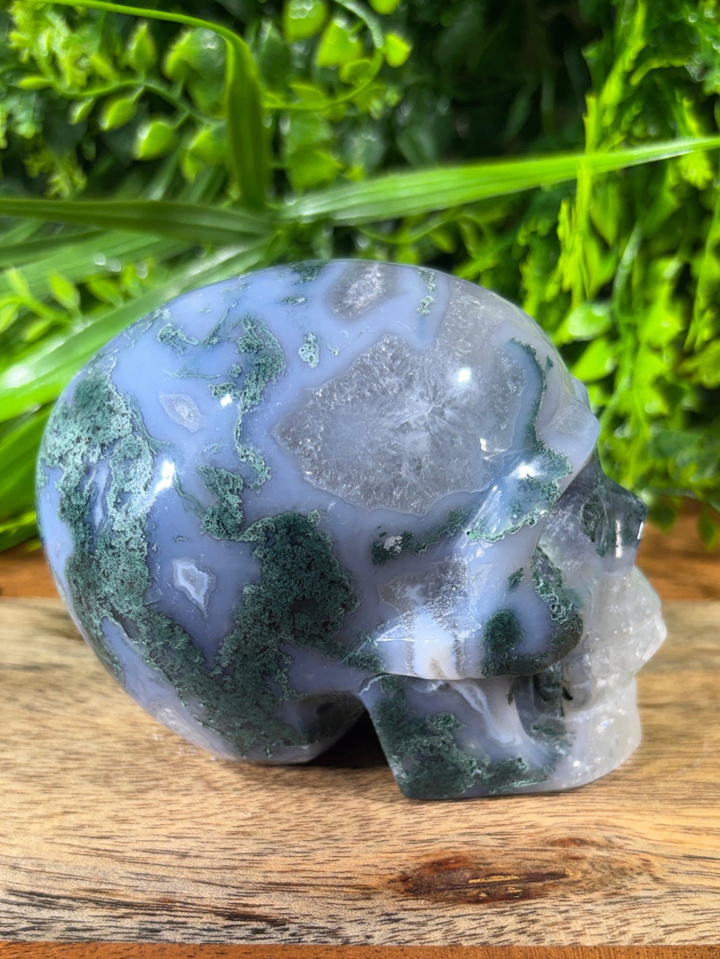 Moss Agate Skull -  Grounding • Growth • Abundance