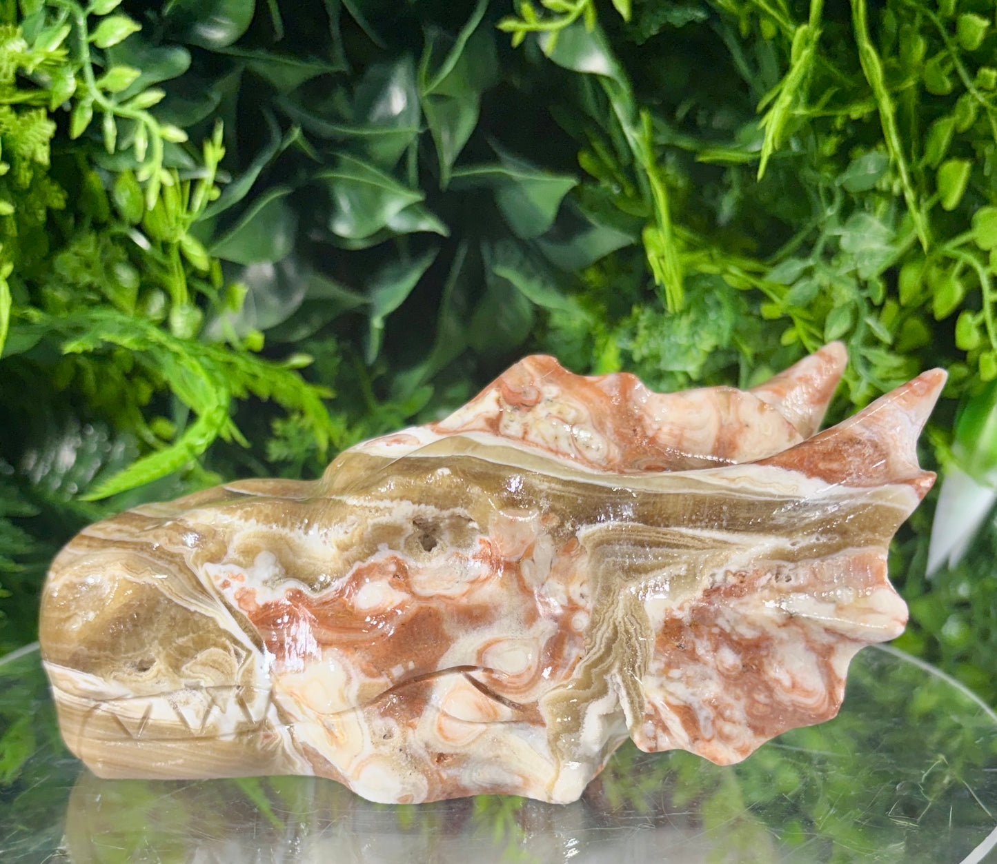 Amber Calcite Banded Dragon Head Carving - Confidence • Clarity • Joyful Energy