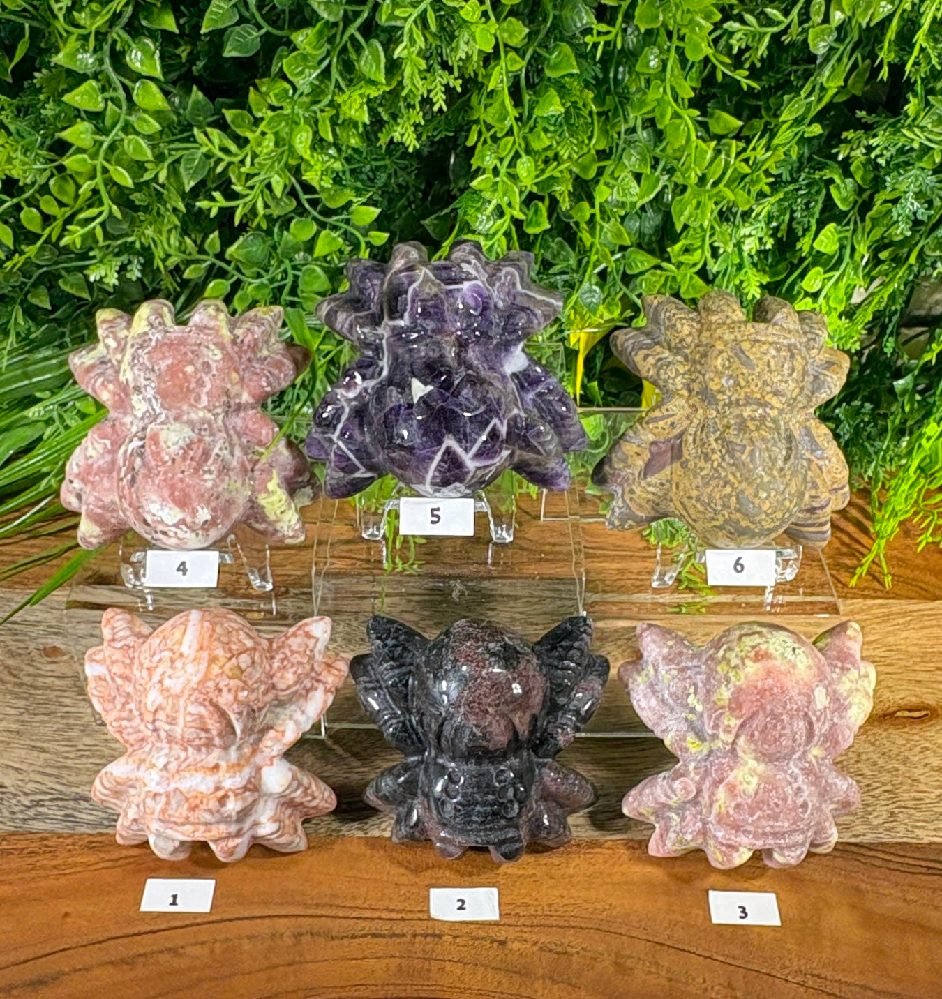 Six carved crystal or stone spiders are displayed on clear acrylic stands on a wooden surface, with a green leafy backdrop behind them. Each figurine is numbered 1 through 6 on small white labels.
