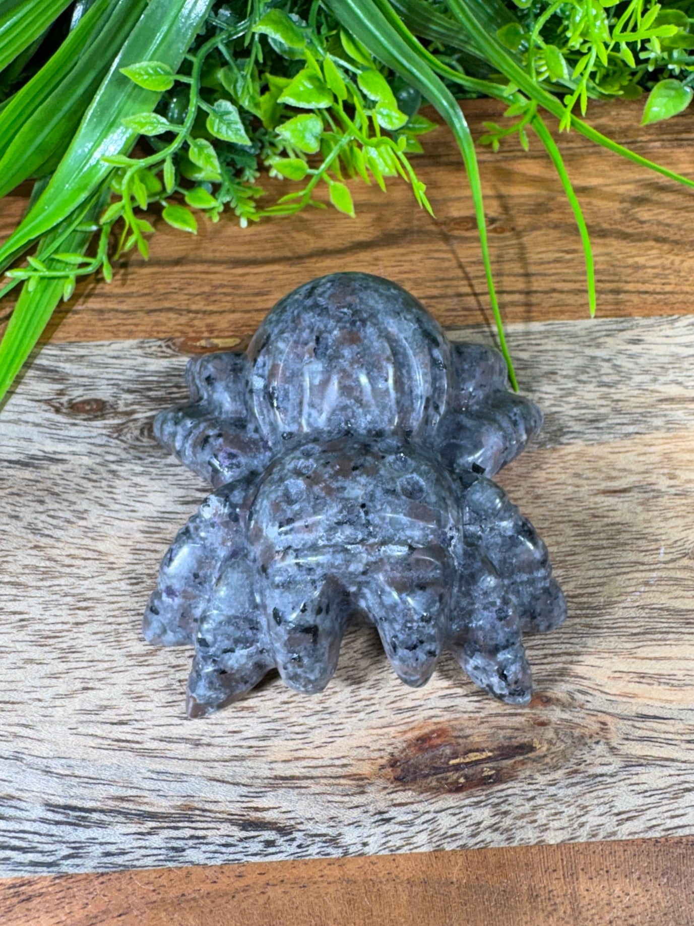 Yooperlite Tarantula Spider Carving UV Reactive - Grounding • Protection • Hidden Truths