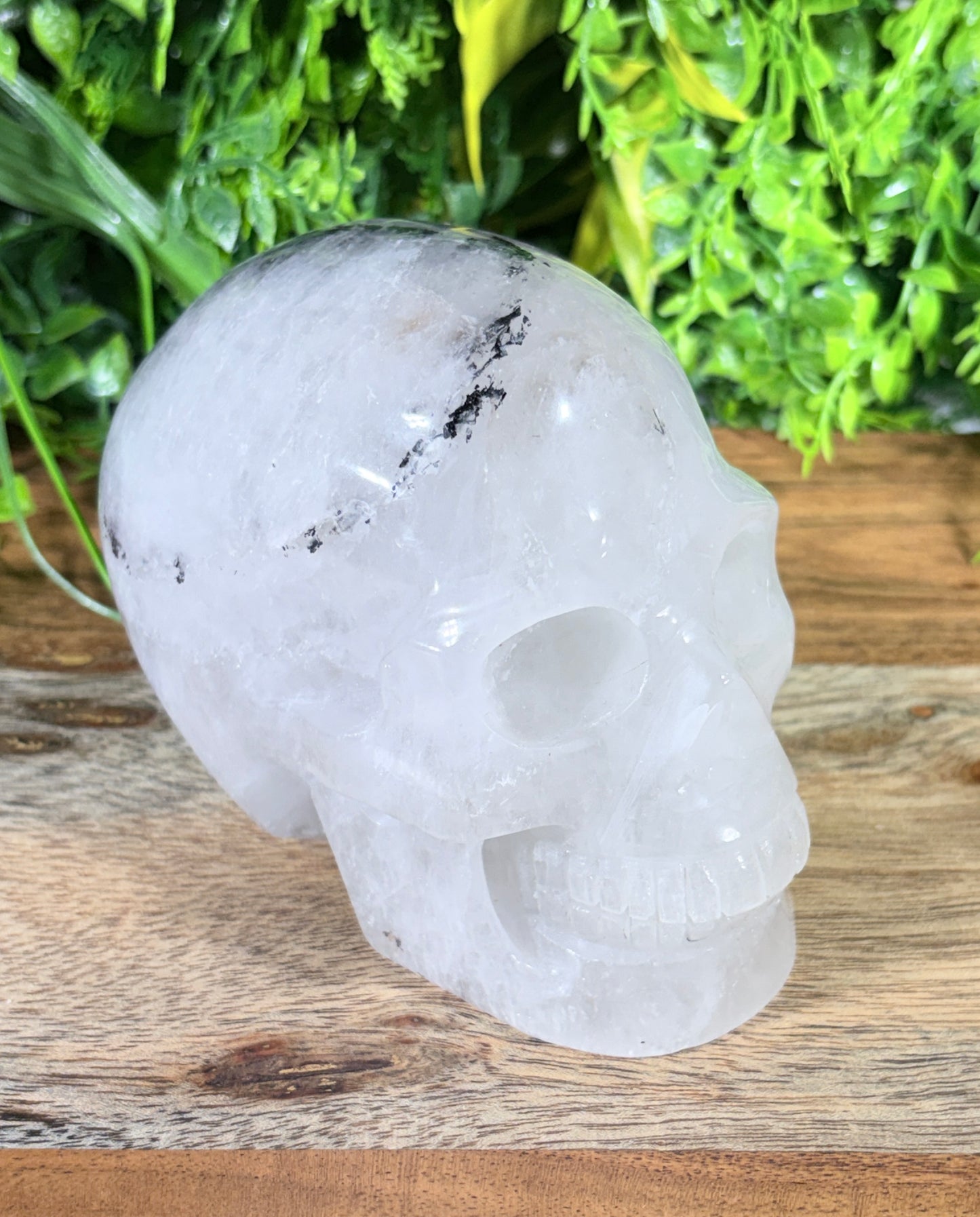 4.5" Tourmalinated Quartz Skull Protection • Clarity • Grounding - 2.20 lbs.