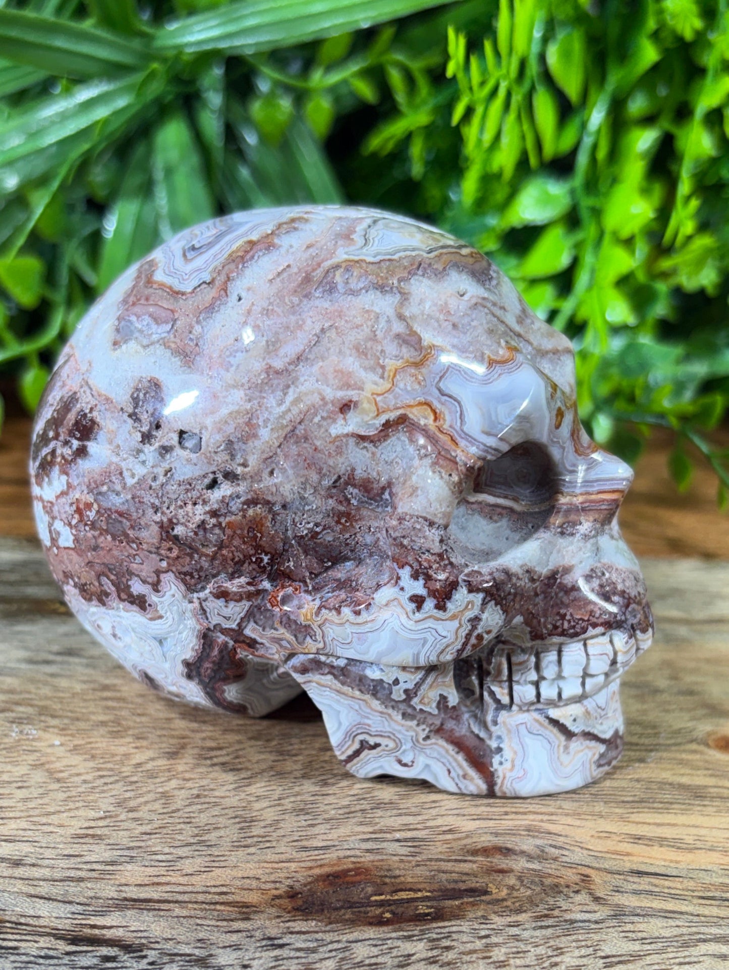 White Mexican Lace Agate Skull -  Balance • Clarity • Grounding