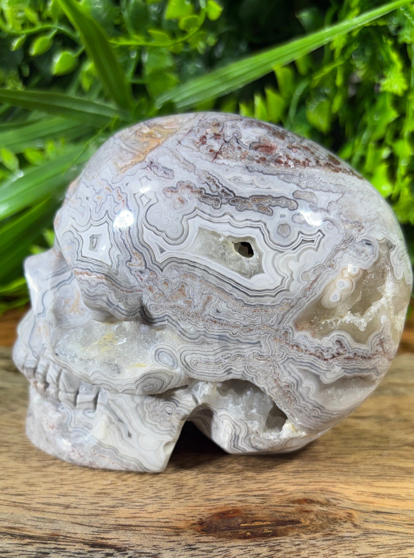 White Mexican Lace Agate Skull -  Balance • Clarity • Grounding