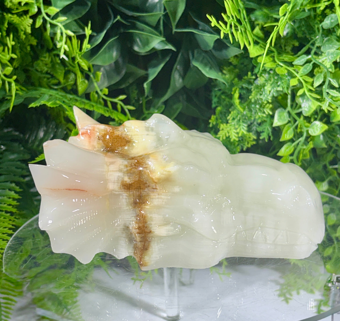 Ivory Onyx Dragon Head - Natural Banded Calcite - Calm • Grounding • Inner Wisdom