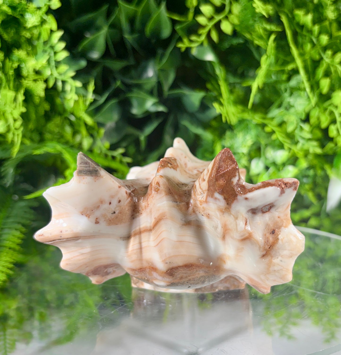 Amber Calcite Dragon Head Carving - Confidence • Clarity • Ancient Wisdom