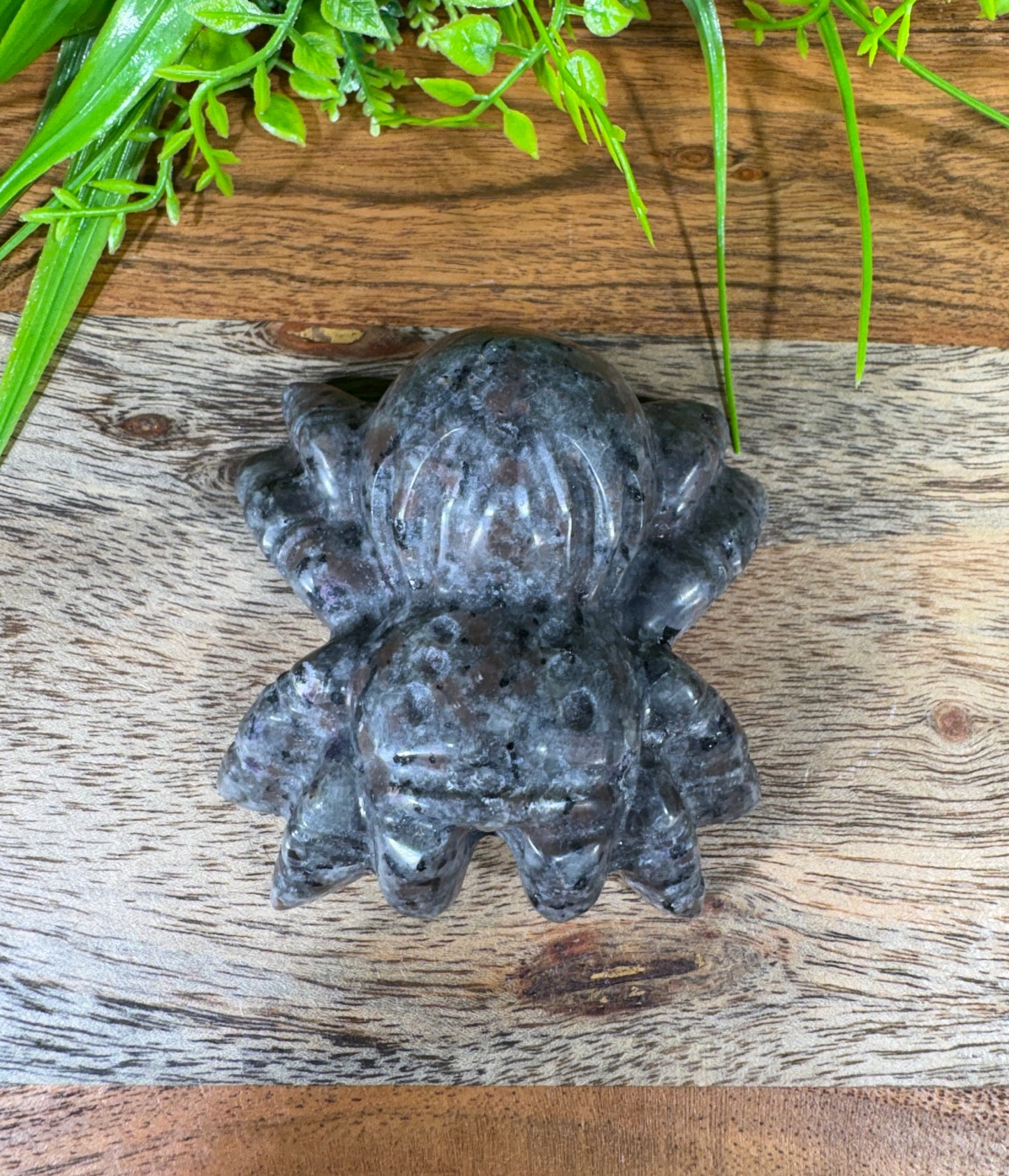Yooperlite Tarantula Spider Carving UV Reactive - Grounding • Protection • Hidden Truths