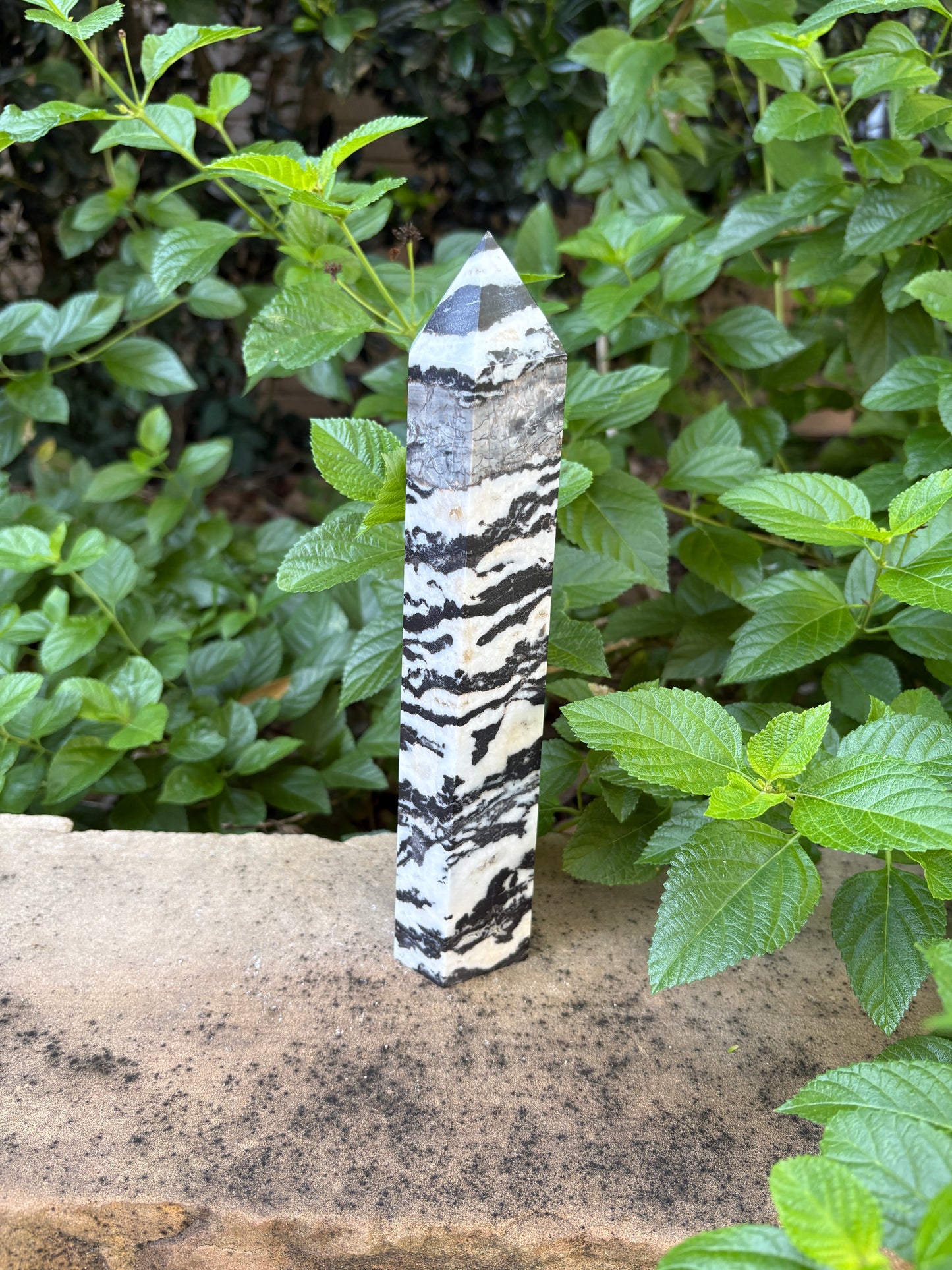 Zebra Jasper Tower - Grounding • Balance • Determination