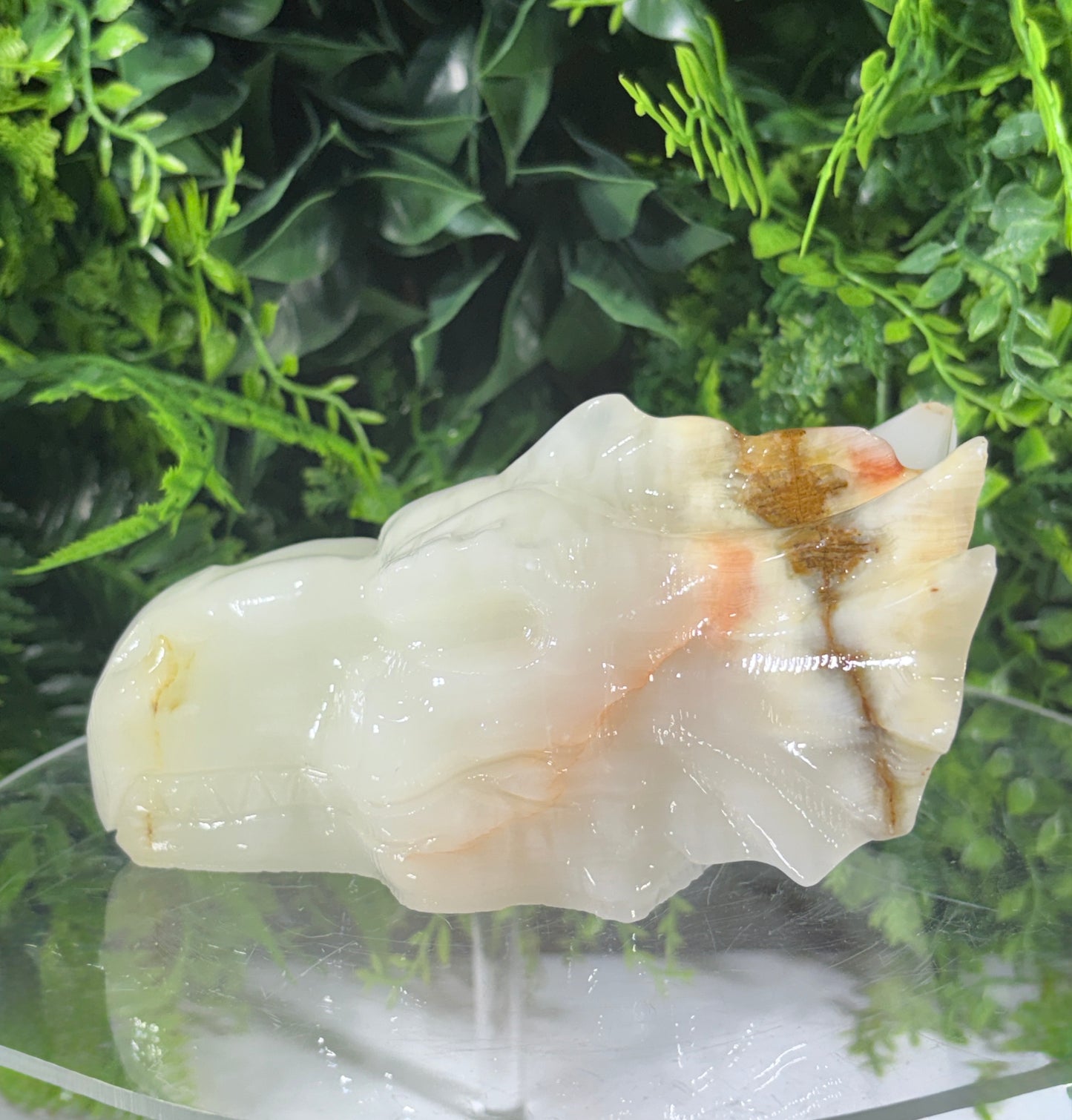 Ivory Onyx Dragon Head - Natural Banded Calcite - Calm • Grounding • Inner Wisdom
