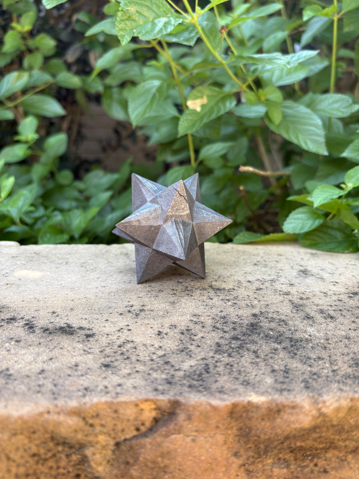 Shungite Geometric Star | Grounding • Protection • Energetic Clearing