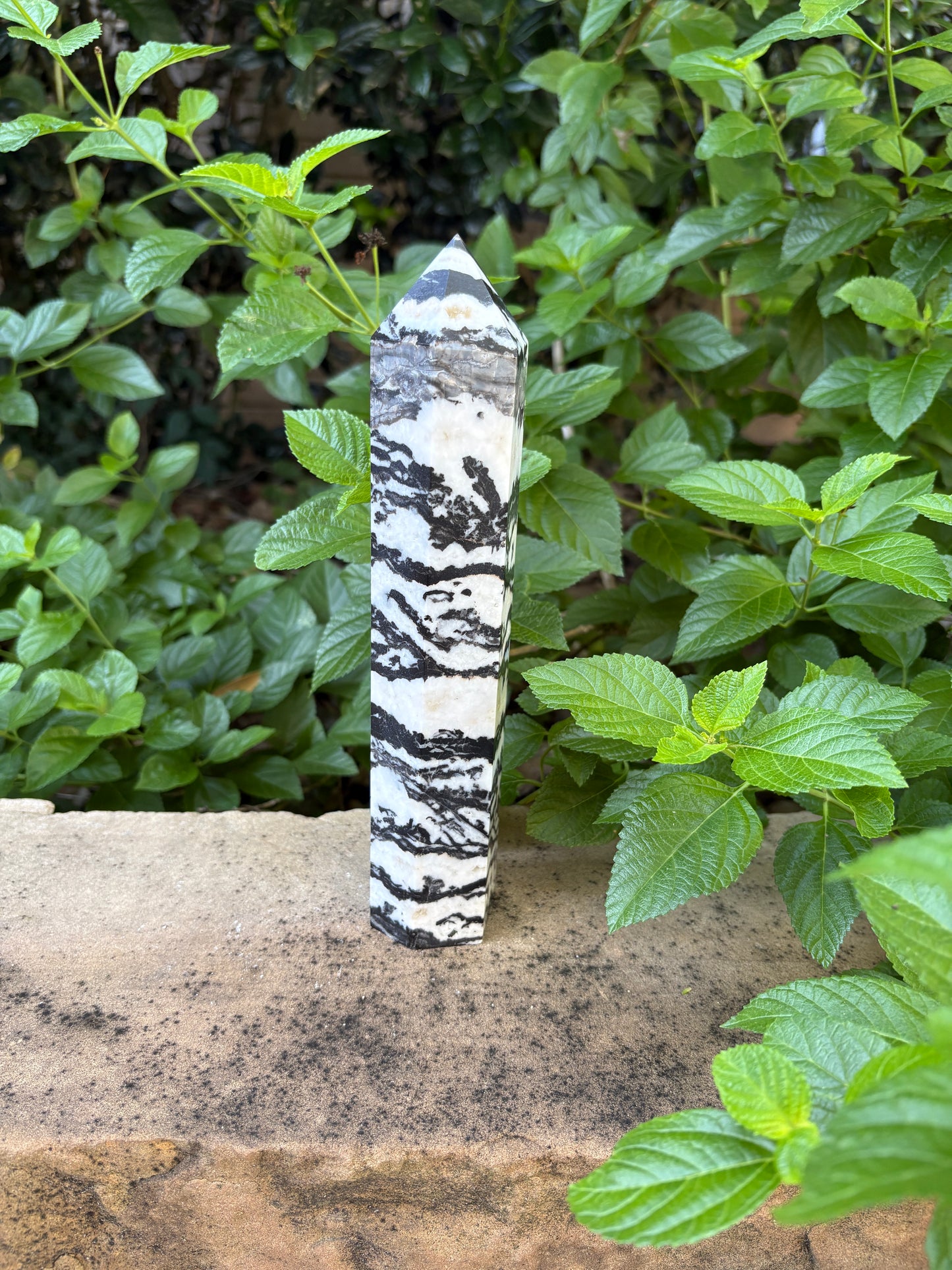 Zebra Jasper Tower - Grounding • Balance • Determination