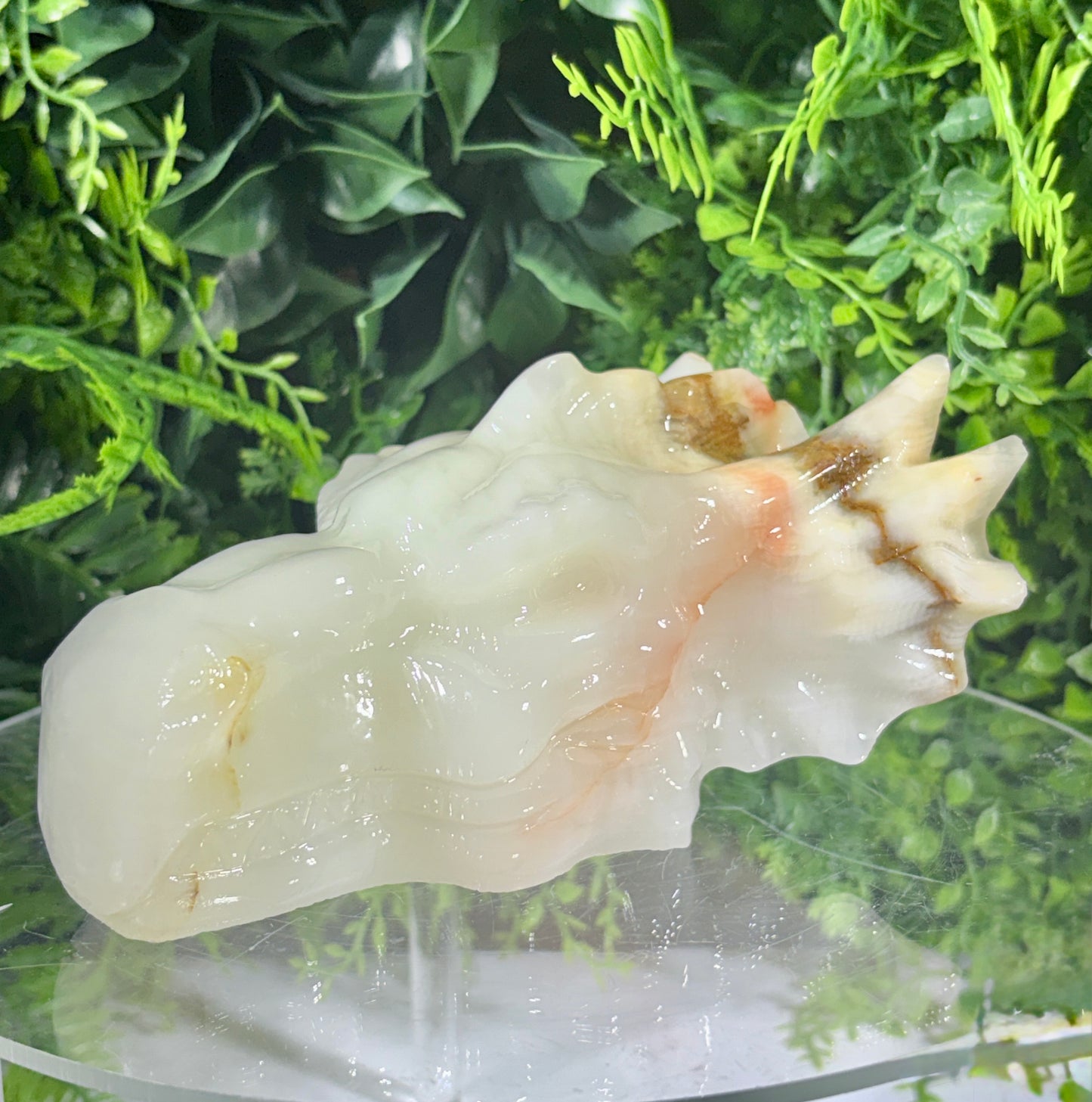 Ivory Onyx Dragon Head - Natural Banded Calcite - Calm • Grounding • Inner Wisdom