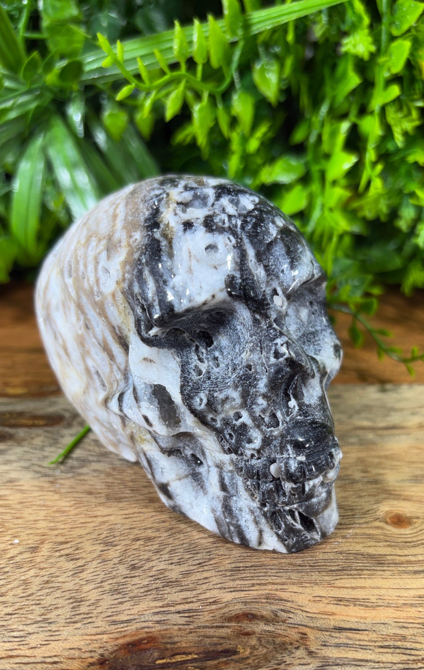 Sphalerite Skull with Druzy Caverns -  Grounding • Confidence • Transformation