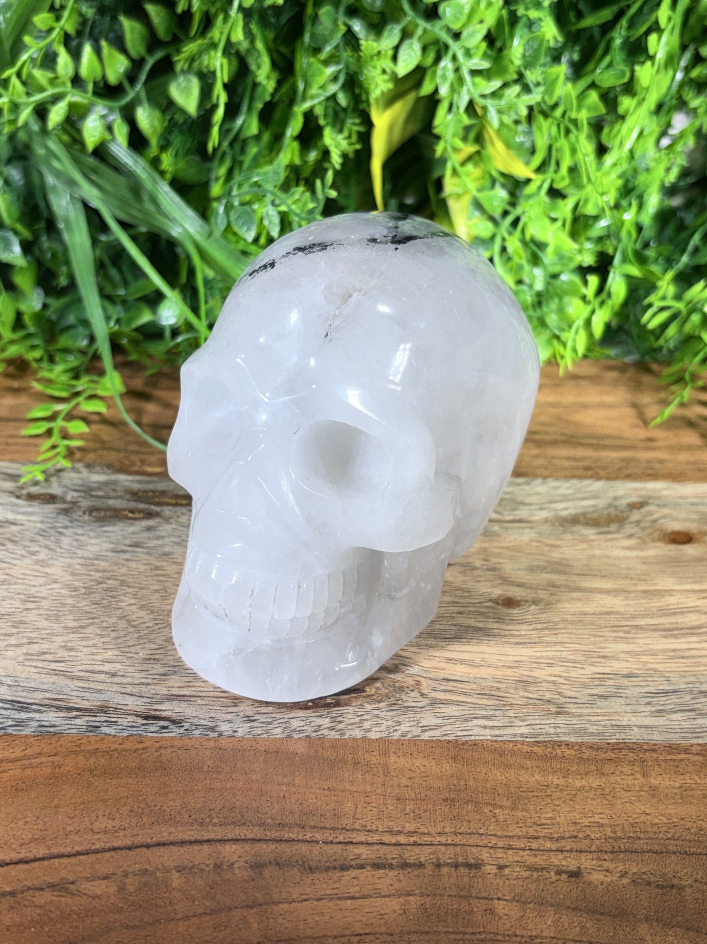4.5" Tourmalinated Quartz Skull Protection • Clarity • Grounding - 2.20 lbs.