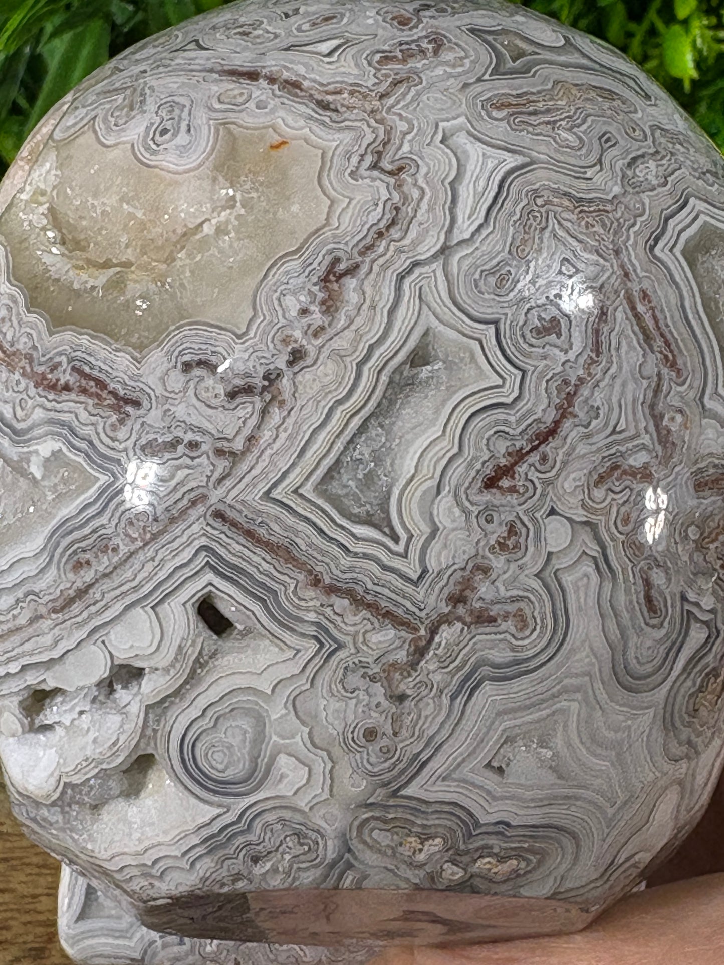 White Mexican Lace Agate Skull -  Balance • Clarity • Grounding