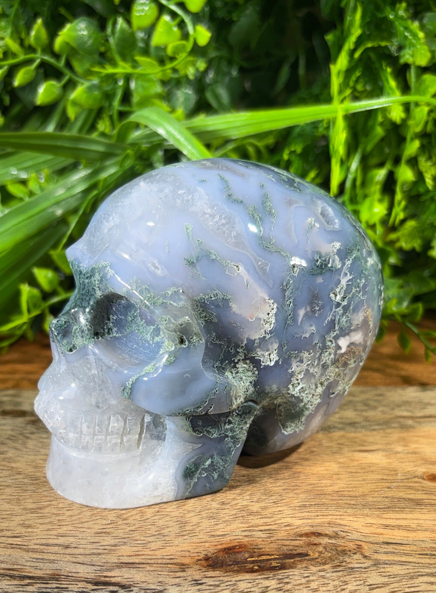 Moss Agate Skull -  Grounding • Growth • Abundance