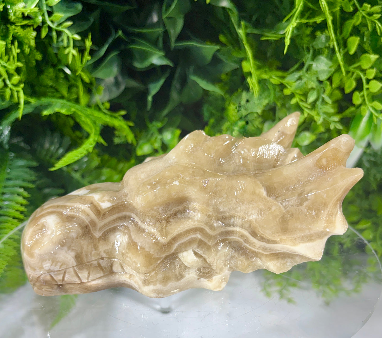 Sir Taupsalot – Natural Banded Calcite Dragon Carving -Ancient Wisdom • Grounded Confidence • Steady Strength