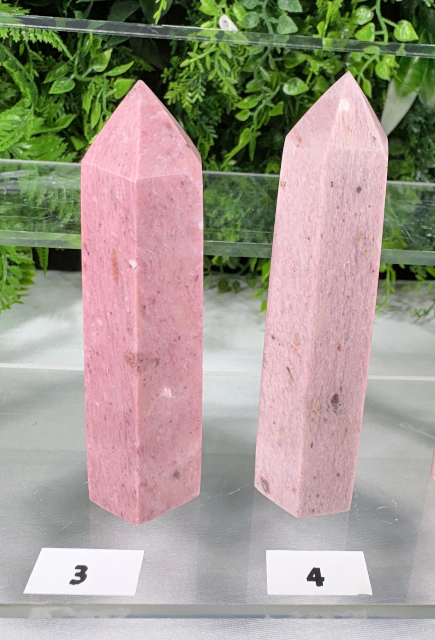 Pink Petrified Wood Points | Natural Fossil Wood Crystals- Ancient Wisdom • Gentle Growth • Steady Grounding
