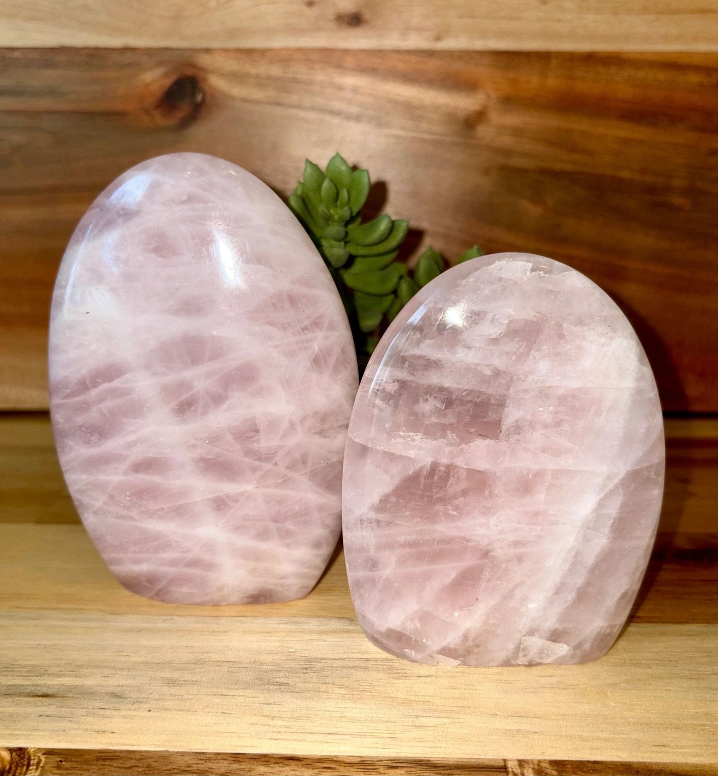 💗 Rose Quartz Freeform – Love, Compassion & Emotional Ease | Choose Your Piece