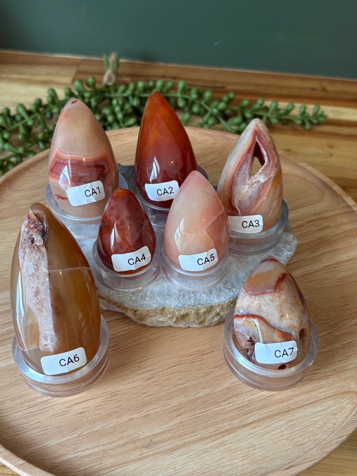 Carnelian Freeform with Druzy Spark – Vitality, Courage & Creative Fire | 3.78 oz