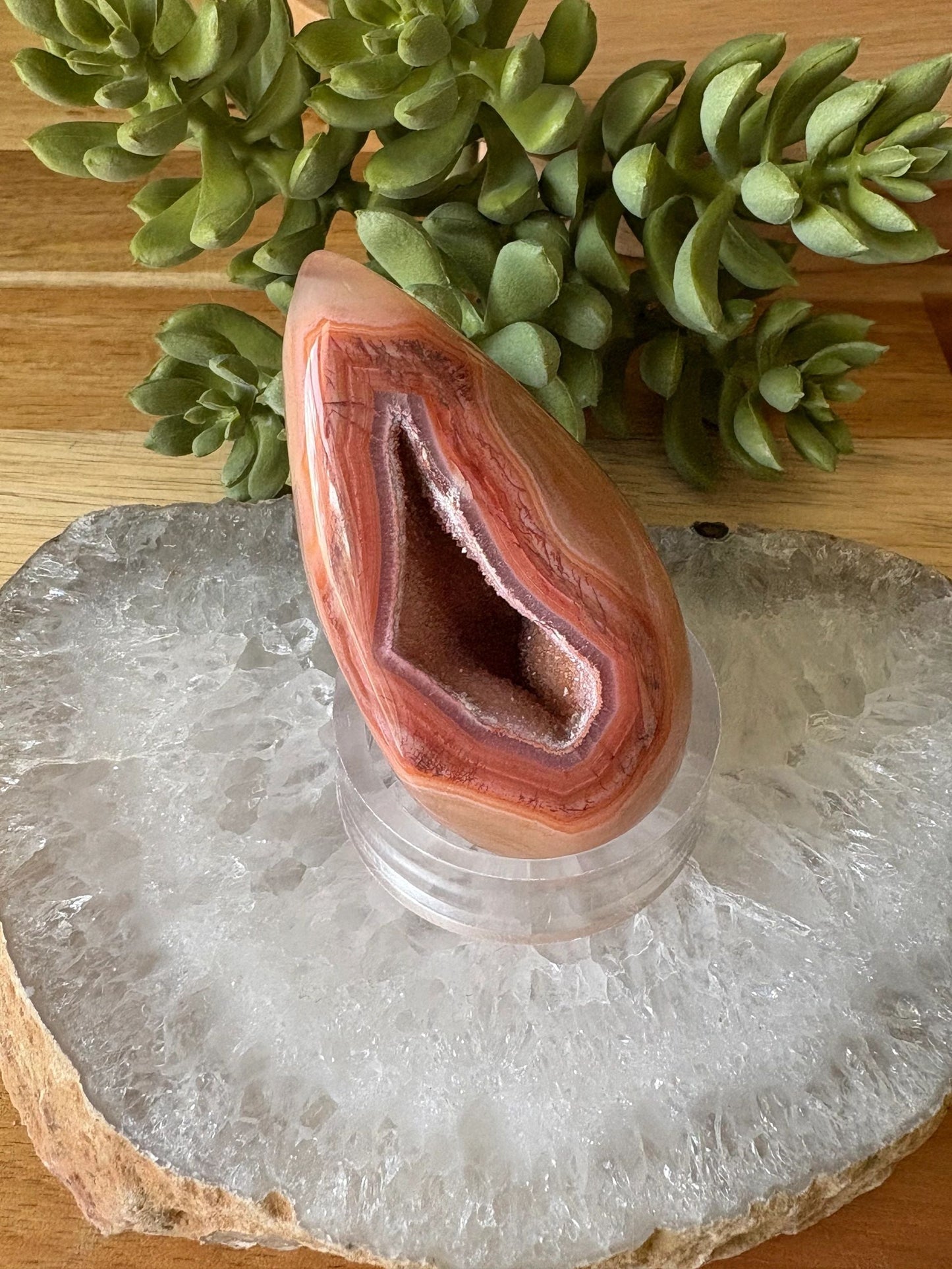 Carnelian Freeform with Druzy Spark – Vitality, Courage & Creative Fire | 3.78 oz