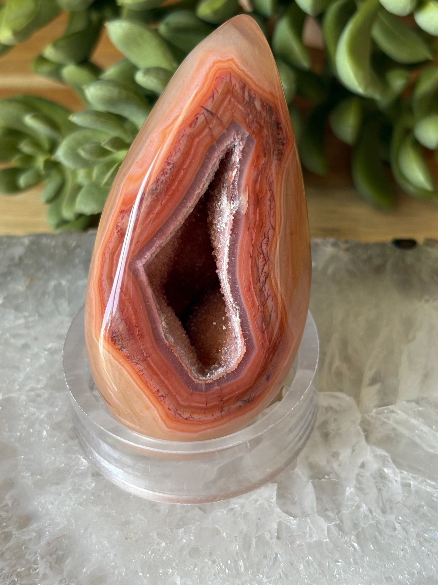 Carnelian Freeform with Druzy Spark – Vitality, Courage & Creative Fire | 3.78 oz