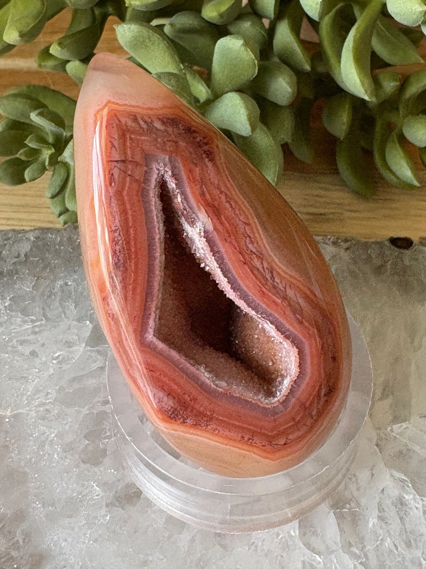 Carnelian Freeform with Druzy Spark – Vitality, Courage & Creative Fire | 3.78 oz